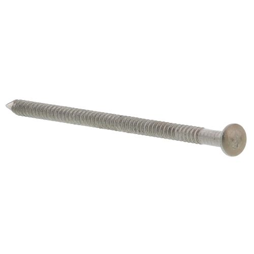 Pointes IN 2,5 x 50 crantées tête bombée inox A2 SPIT 391068 photo du produit Secondaire 1 L