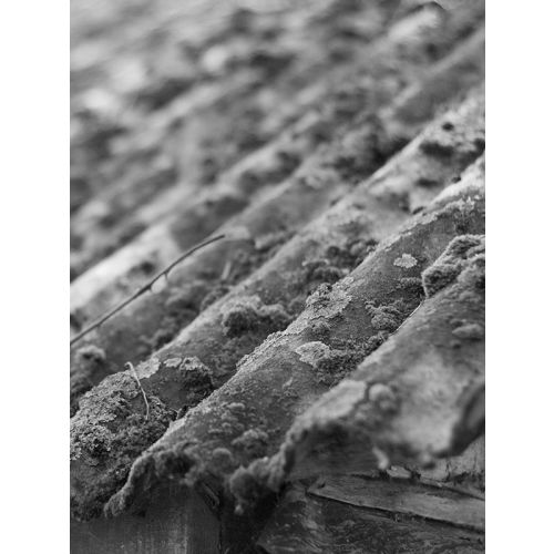 Bidon de 30L fongicide PE prêt à l'emploi - DALEP - 130030 pas cher Secondaire 1 L