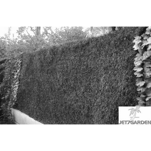 Rouleau haie artificielle Lux maillage losange 1,50mx3m - JET7GARDEN - J7GLUX pas cher Secondaire 1 L
