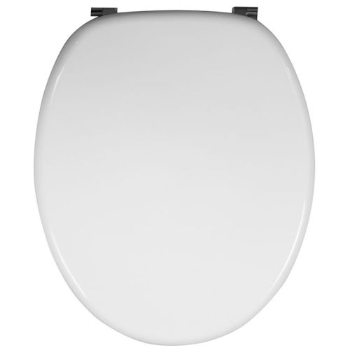 Abattant wc WOODY en charnière inox laqué blanc - WIRQUIN - 21230004 pas cher Secondaire 2 L