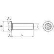 Vis métaux tête bombée torx teton inviolable A2 ISO 7380 10X50 boîte de 50 - ACTON - 6280510X50 pas cher Secondaire 3 S