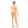 Mannequin femme plastique avec tête RETIF COMPEIGNE 46035 photo du produit
