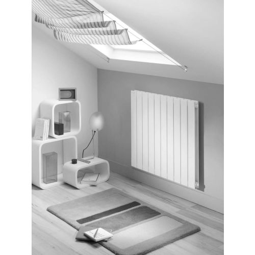 Radiateur à eau chaude FASSANE PREM'S double à élément horizontal 1077W - ACOVA - SHXD-060-104 pas cher Secondaire 1 L