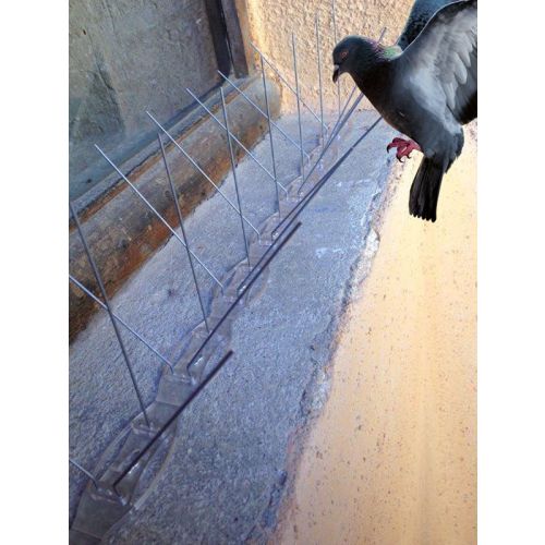 Pics anti-oiseaux Bird Guard 2 contre les pigeons longueur 1 m DALEP 108009517 photo du produit Secondaire 1 L