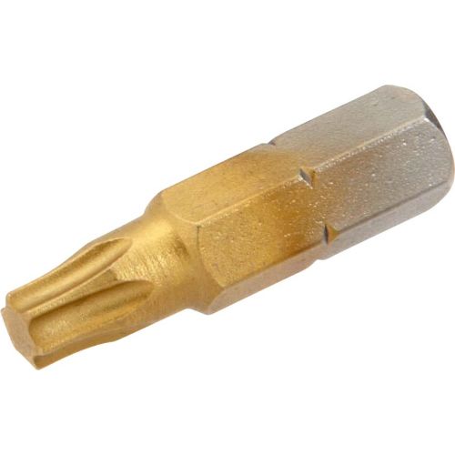 Embouts 1/4'' au TITANE Torx 40 SAM OUTILLAGE E-125-T40 photo du produit