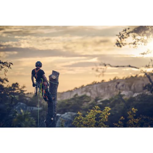 Elagueuse thermique 39,1 cm3 T540 XP® Mark III 30 cm HUSQVARNA 970517912 photo du produit Secondaire 2 L