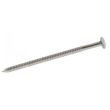 Pointe annelée à tête bombée inox A2 2,3 x 25 mm sachet de 40 ACTON 627832.3X25CDT40 photo du produit