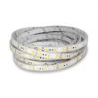 Bandeau LED Miidex Lighting 5 M 60 LED/M 12 V 10,5 W/M IP67 - 751674 photo du produit