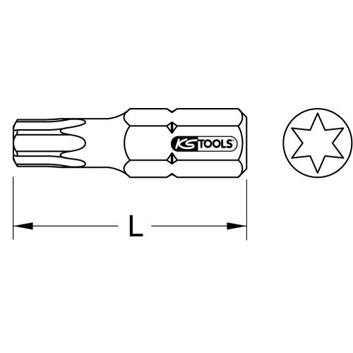 Boîte de 5 embouts de vissage inox Torx 1/4'' longueur 25 mm photo du produit Secondaire 1 L