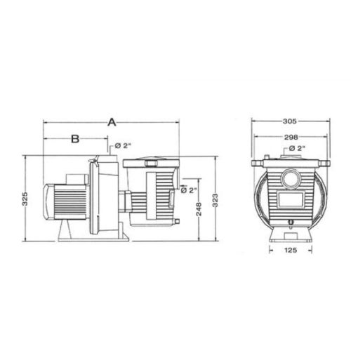 Pompes standards ULTRAFLOW - PENTAIR - PAC-100-0345 pas cher Secondaire 1 L