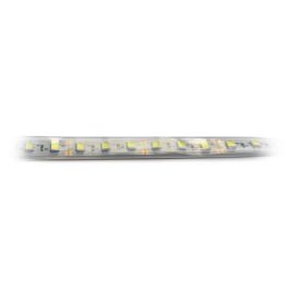 Bandeau LED 5 m Miidex Lighting 14,4W/m RGB + blanc - 7511WS photo du produit Principale M