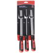 Set de 3 râpes à bois emmanchées grosses piqures 200 mm - HANGER - 110391 pas cher Secondaire 1 S