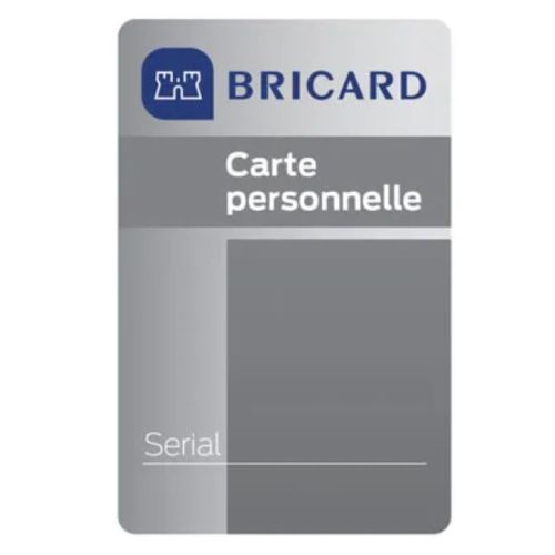 Cylindre double entrée SERIAL nickelé A2P* longueur 70=30+40mm série 8161 - BRICARD - 4315820 pas cher Secondaire 2 L