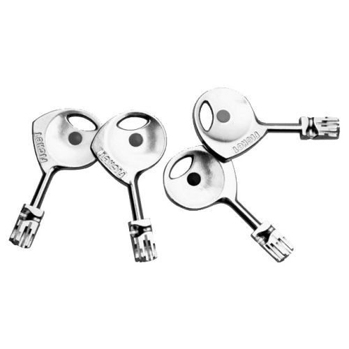 Cylindre monobloc 787Z pour forge P132/P102 4 clés - FICHET - 75005580-Z pas cher Secondaire 1 L
