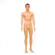 Mannequin homme en plastique avec tête RETIF 46036 photo du produit