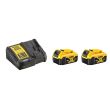 Perceuse-visseuse 18V XRP Brushless + 2 batteries 4Ah + chargeur + T-stak - DEWALT - DCD996M2 pas cher Secondaire 2 S