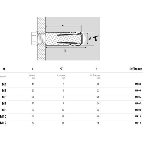Cheville laiton M12 12X38 boîte de 25 - SCELL-IT - MP12 pas cher Secondaire 1 L