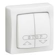 Double poussoir en saillie pour volets roulants LEGRAND 086010L photo du produit