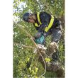 Tronçonneuse d'élagage 18 V 25 cm (sans batterie ni chargeur) MAKITA DUC254Z photo du produit Secondaire 11 S