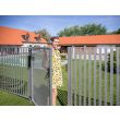 Ferme portail hydraulique lion argenté LOCINOX P00008967-SILV photo du produit Secondaire 2 S