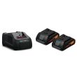 Pack de 2 batteries 18 V ProCORE 4 Ah + chargeur FEIN 92604228010 photo du produit