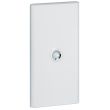 Porte DRIVIA IP40 IK07 blanche pour coffret référence 401213 LEGRAND 401333 photo du produit