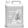 Lotion lavante Aexamousse désinfectante bidon de 5L - AEXALT - AX651 pas cher