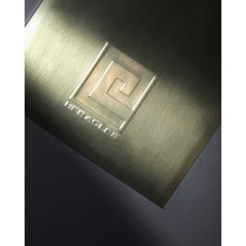 Plaque de recouvrement pour pivots TSA et TSP acier finition inox poli HERACLES G-HR759300 photo du produit Secondaire 1 L