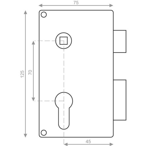 Coffre monopoint en applique pour cylindre européen vertical fouillot droite doré - HERACLES - MX-8817-01 pas cher Secondaire 1 L