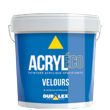 Peinture Acryl'éco velours gamme pro 15 l DURALEX 117100221 photo du produit