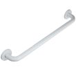 Barre d'appui en acier inoxydable recouvert d'epoxy droite 300 mm GARIS B-INOX-BR20 photo du produit Secondaire 8 S