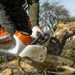 Tronçonneuse 36 V MSA 220 C-B (sans batterie ni chargeur) 35 cm STIHL MA03-200-0020 photo du produit Secondaire 2 S