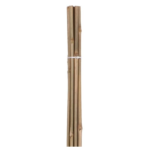Lot de 10 tuteurs en bambou H 90 cm x D8/10 16566 photo du produit