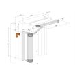 Ferme portail hydraulique Lion argent LOCINOX P00008967-SILV photo du produit Secondaire 1 S