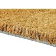 Rouleau tapis brosse EP17 mm en 1 x 12 m ID GROUP COCORLN1P17MM photo du produit