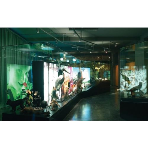 Lampe MR16 HOME ECO 12 V Sylvania 38&deg; GU5.3 - 0021812 photo du produit Secondaire 3 L