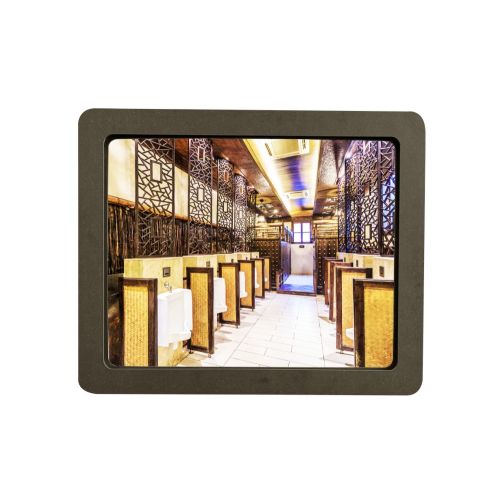 Miroir sanitaire plat 390x490mm gris - SOCOMIX - MP 54-LUX GRIS pas cher Secondaire 1 L