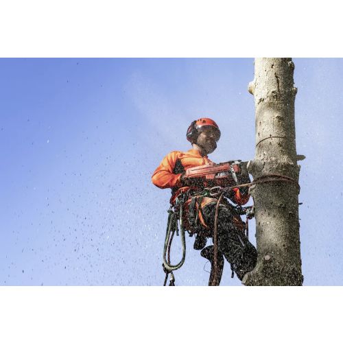 Tron&ccedil;onneuse thermique 50,1 cm3 545 Mark II-45SN HUSQVARNA 967690638 photo du produit Secondaire 3 L