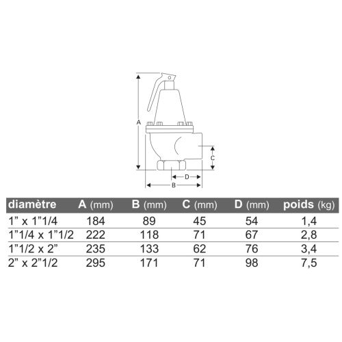 Soupape de sureté 740 (G.C) série fonte 1'' 3 bar - WATTS - 2226242 pas cher Secondaire 1 L