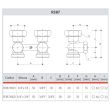 Robinet de radiateur droit bitube F 3/4 18 GIACOMINI R387X001 photo du produit Secondaire 1 S