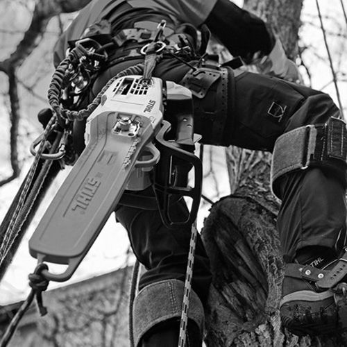 Tronçonneuse d'élagage 35,2cm³ MS 201 TC-M - guide Rollo E Light 35 cm 3/8'' PS3 - STIHL - 1145-200-0267 pas cher Secondaire 12 L