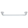 Barre d'appui en acier inoxydable recouvert d'epoxy droite 300 mm GARIS B-INOX-BR20 photo du produit Secondaire 7 S