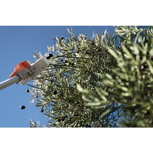 Secoueur d'olive 36 V SPA 130 (Sans batterie ni chargeur) STIHL VA02-011-0700 photo du produit Secondaire 4 L
