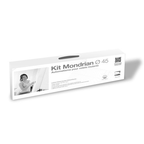 Kit filaire pour volets roulants - CAME - MONDRIAN pas cher Secondaire 1 L