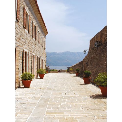 Nettoyant NET TERRASSE concentr&eacute; pour terrasses bidon de 5 L DALEP 104004703 photo du produit Secondaire 1 L