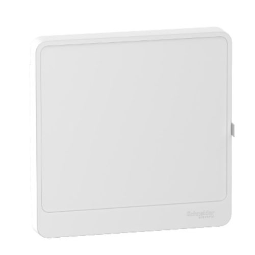 Porte opaque OPALE pour coffret 13 modules 1 rangée - SCHNEIDER ELECTRIC - 13421 pas cher Principale L