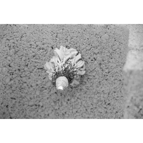 Sachet de 20 tamis Id-All avec 4 buses - SPIT - 055896 pas cher Secondaire 4 L