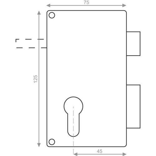 Coffre monopoint en applique pour cylindre européen vertical tirage droite doré Héraclès MX-8827-01 photo du produit Secondaire 1 L