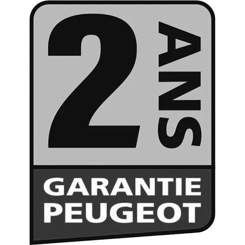 Combiné ponceur pivotant 250W EnergySand-127 - PEUGEOT OUTILLAGE - 132338 pas cher Secondaire 8 L