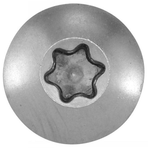 Vis penture Torx A4 6X30 boîte de 100 - ACTON - 643106X30 pas cher Secondaire 2 L